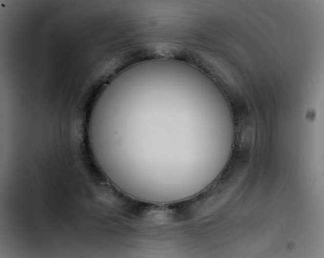 X0000103450595200809121429
