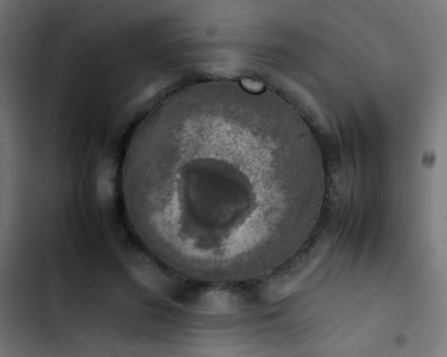 X0000103450596200809121429