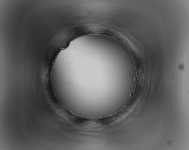 X0000103450597200809121429