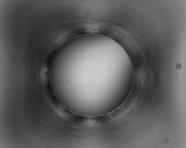 X0000103450598200809121429