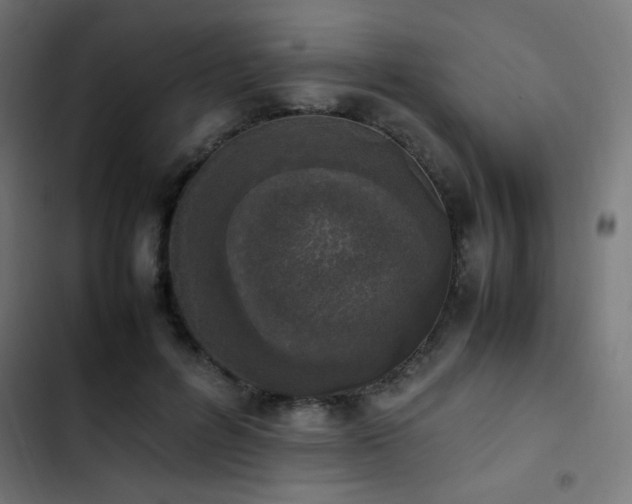 X0000103450600200809121429