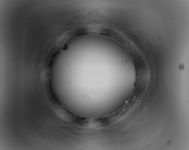 X0000103450601200809121429