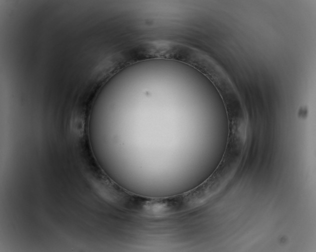 X0000103450602200809121429