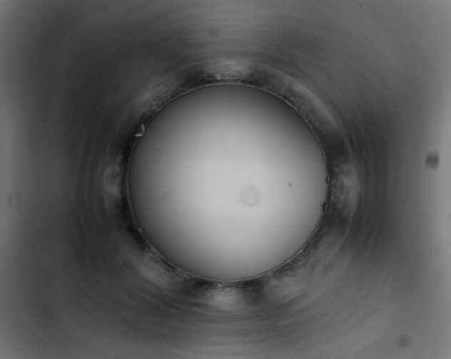 X0000103450604200809121429