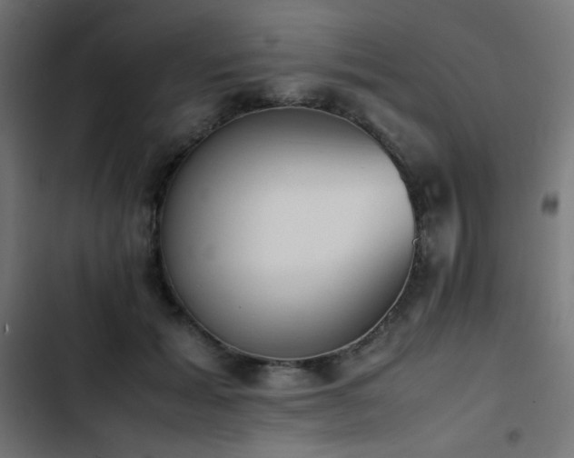 X0000103450605200809121429
