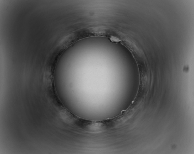 X0000103450609200809121429