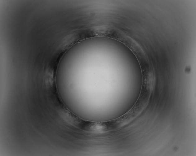 X0000103450610200809121429