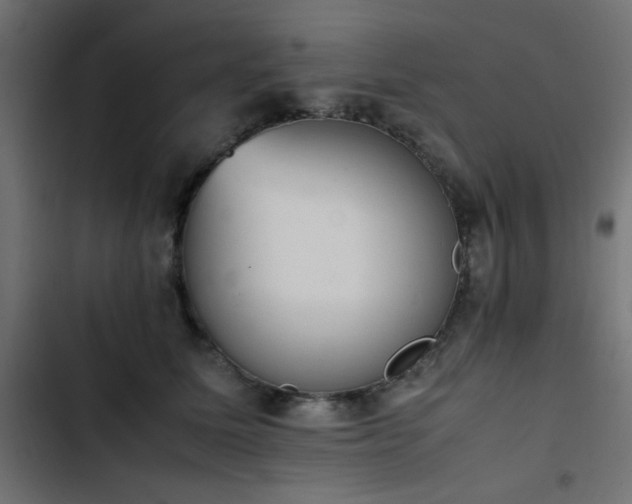 X0000103450611200809121429