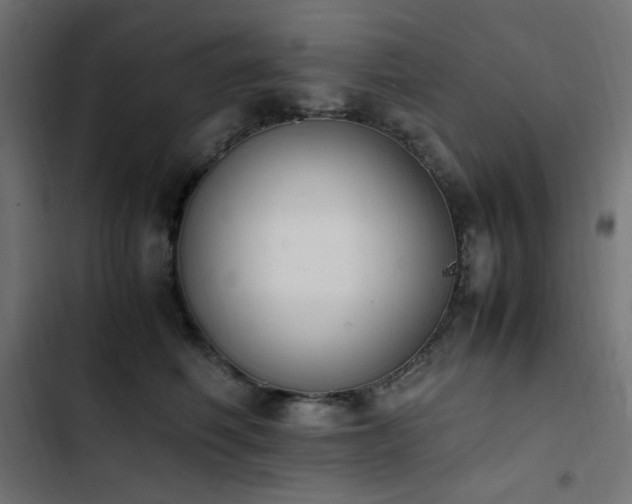 X0000103450614200809121429