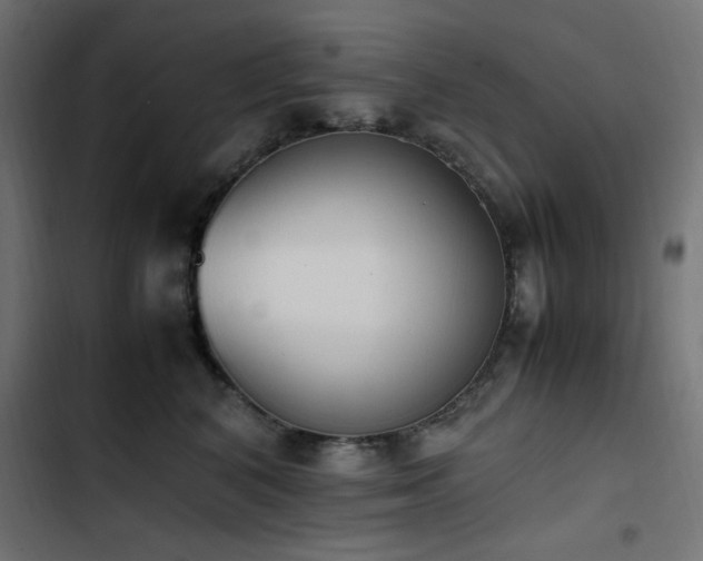 X0000103450616200809121429