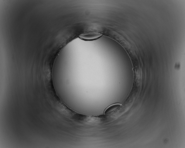 X0000103450617200809121429