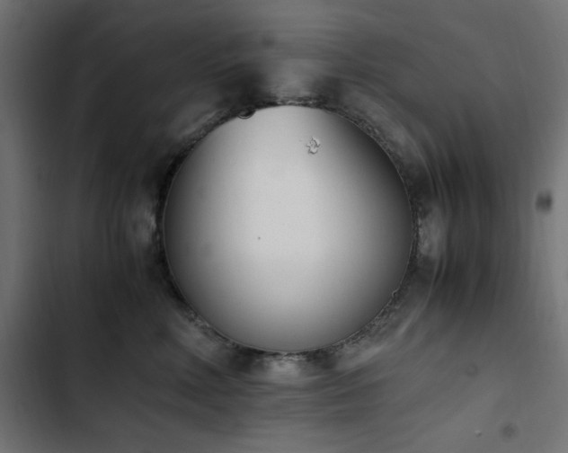 X0000103450618200809121429