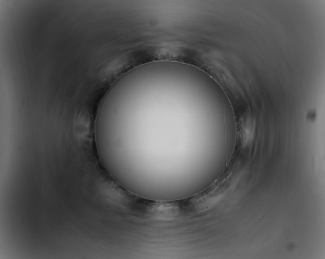 X0000103450619200809121429