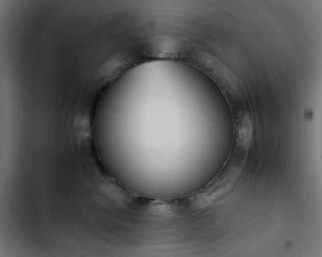 X0000103450620200809121429