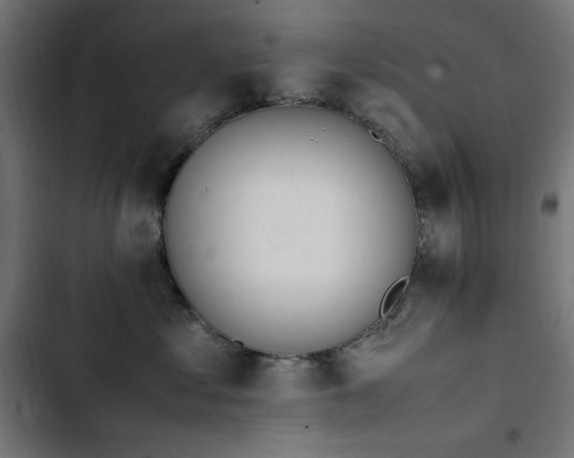 X0000103450621200809121429