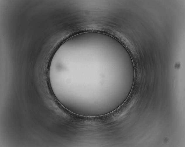 X0000103450625200809121428