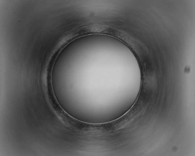 X0000103450626200809121428