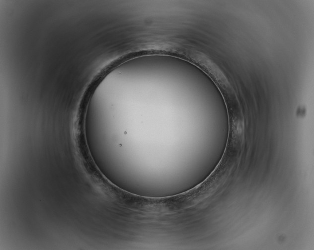 X0000103450628200809121428