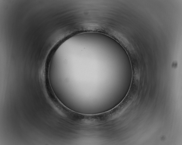 X0000103450630200809121428