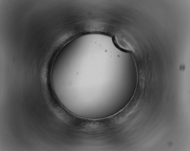 X0000103450631200809121428