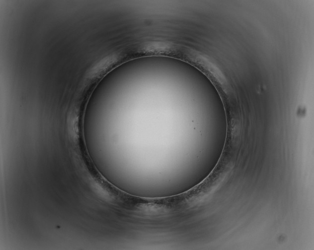 X0000103450633200809121428