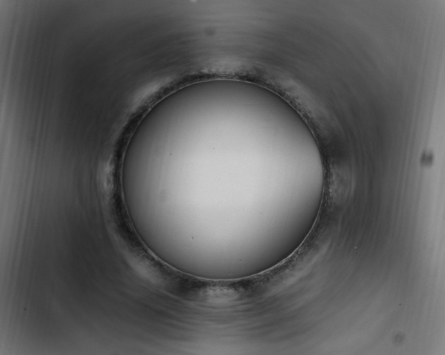 X0000103450636200809121428