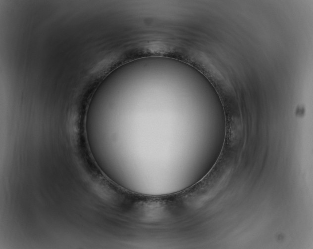 X0000103450639200809121428