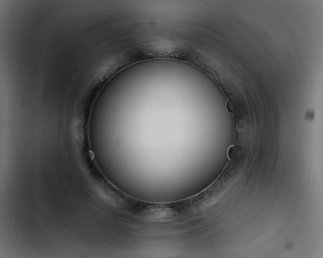 X0000103450642200809121428