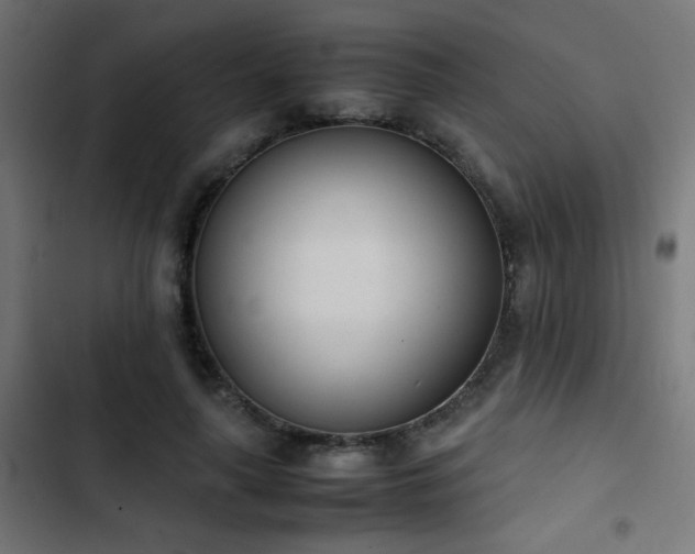 X0000103450643200809121428