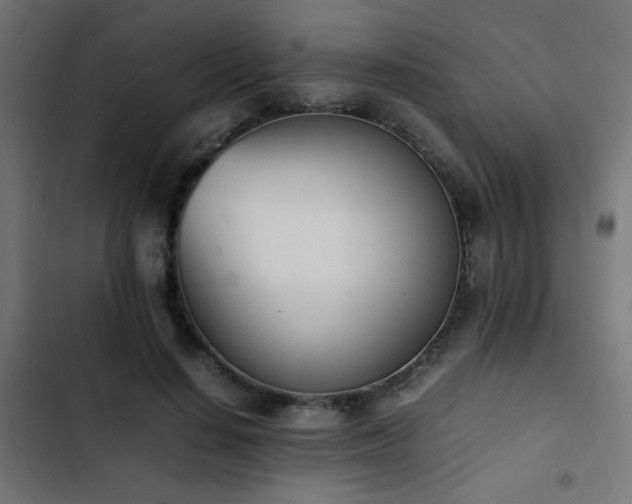 X0000103450644200809121428