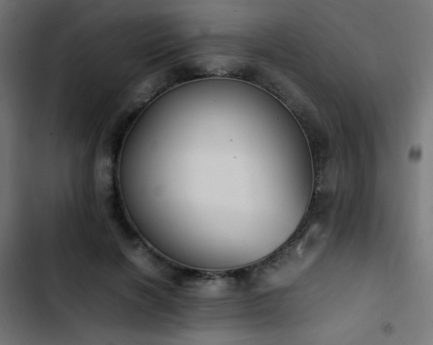 X0000103450646200809121428