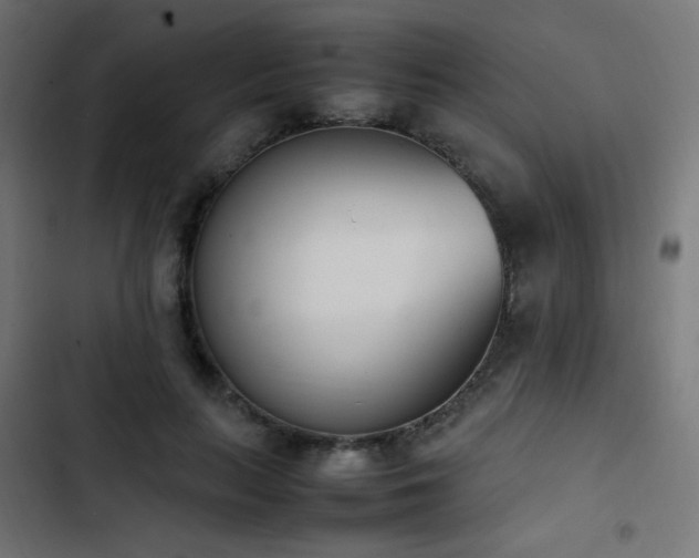 X0000103450647200809121428