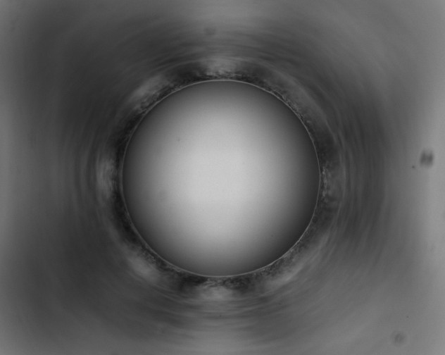 X0000103450648200809121428