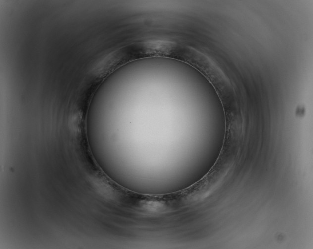 X0000103450649200809121428
