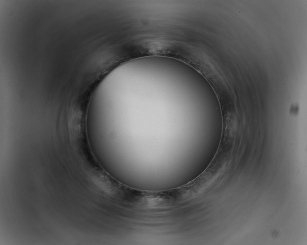 X0000103450650200809121428