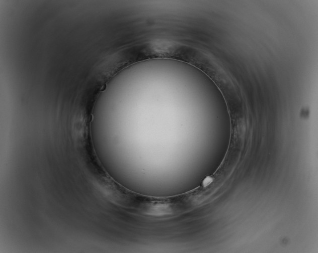 X0000103450651200809121428