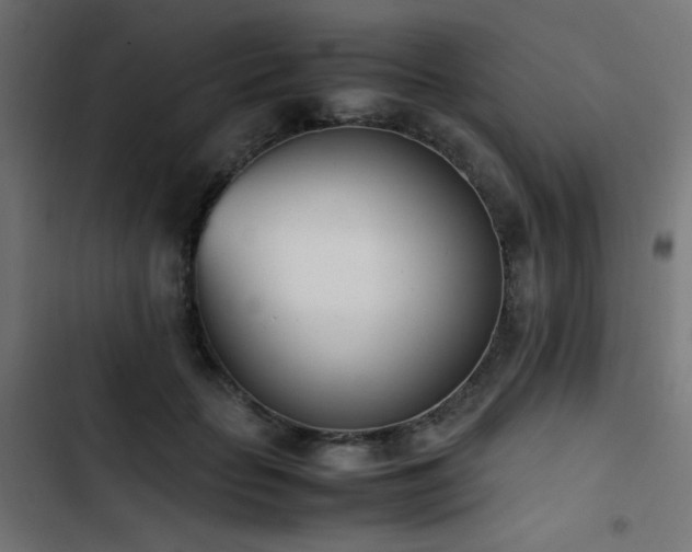 X0000103450653200809121428