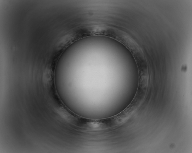 X0000103450654200809121428