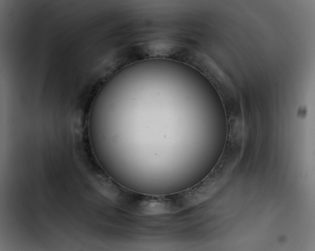 X0000103450655200809121428
