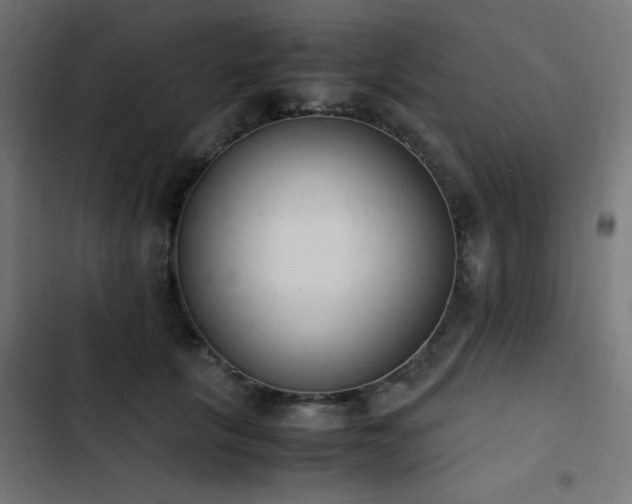 X0000103450657200809121428