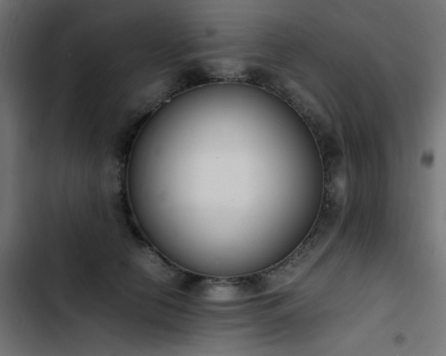 X0000103450658200809121428