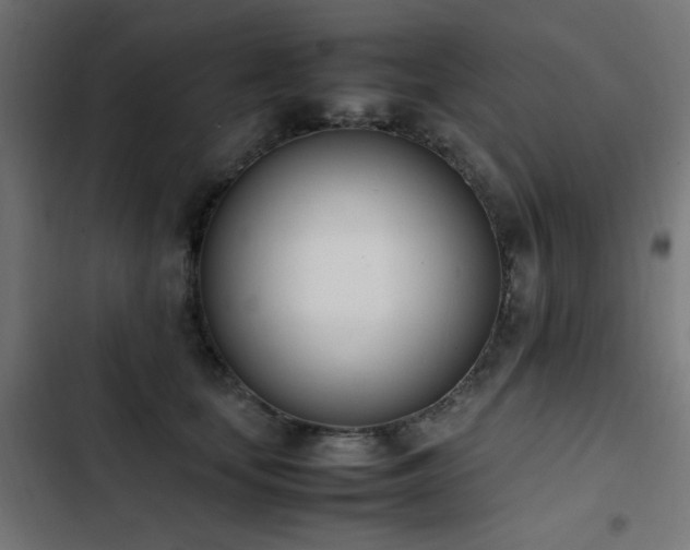 X0000103450659200809121428