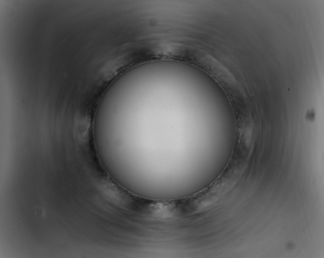 X0000103450660200809121428