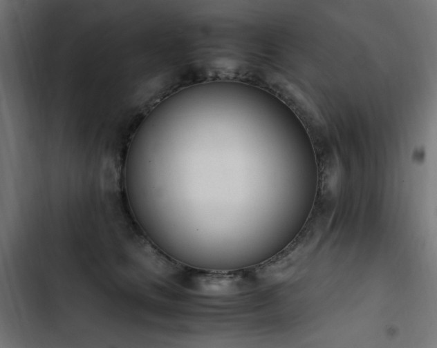 X0000103450661200809121428