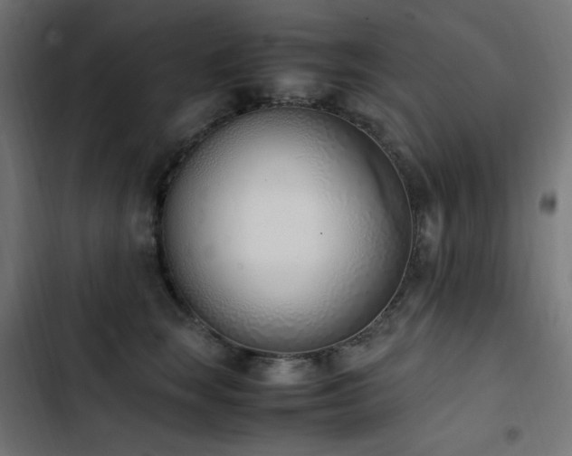 X0000103450663200809121428