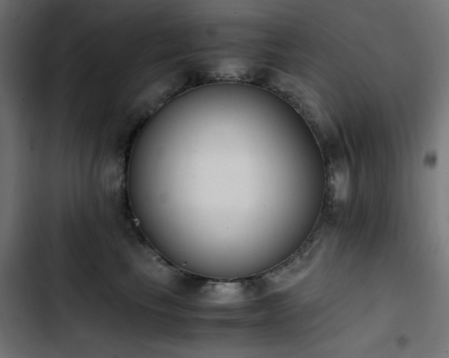 X0000103450665200809121428