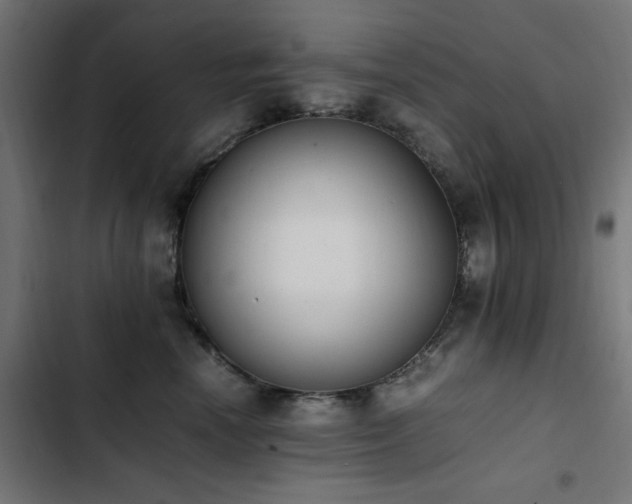 X0000103450666200809121428