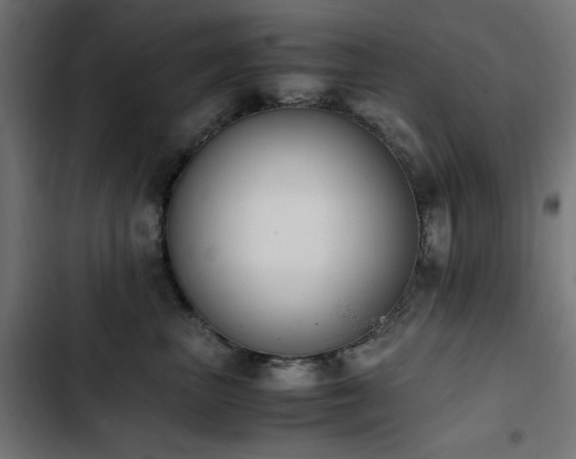 X0000103450667200809121428