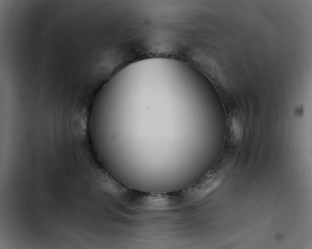 X0000103450668200809121428