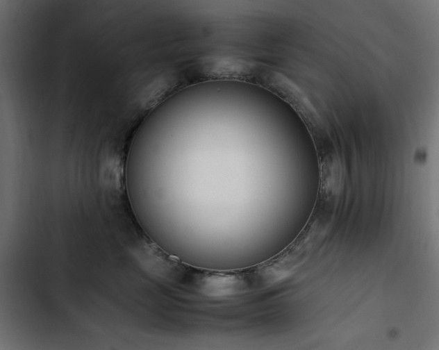 X0000103450669200809121429
